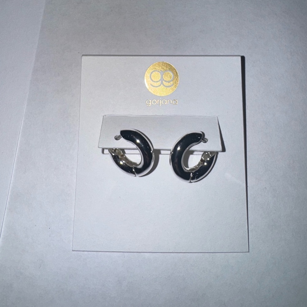 Gorjana sliver Hoop Earrings